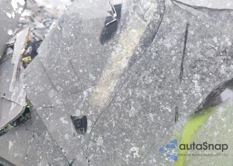 2019 Jaguar I-Pace Se z USA, uszkodzony, nr VIN SADHC2S12K1F72414